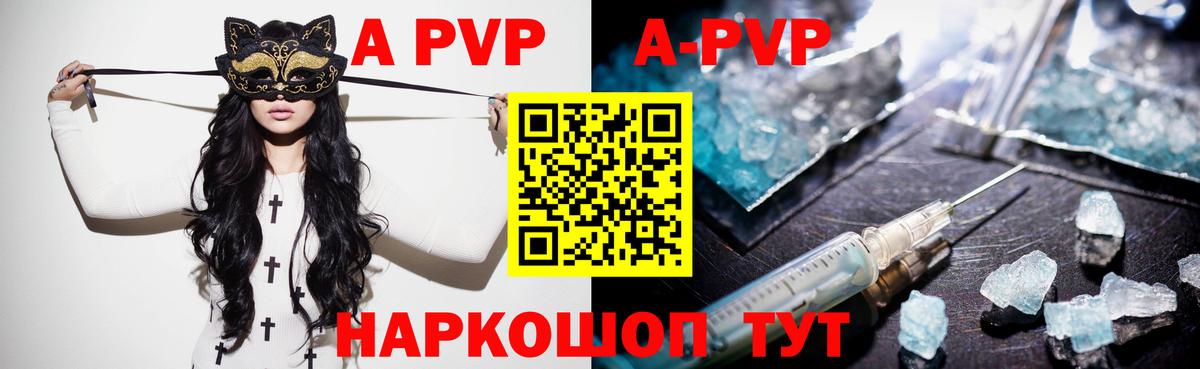 Курчалой  A-PVP крисы CK  Вход с VPN  A-PVP СК  A-PVP СК 