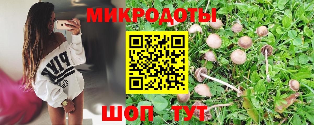 Курчалой  Псилоцибиновые грибы мухоморы  Вход с VPN 